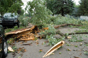 storm damage insurance claim keystone adjusting